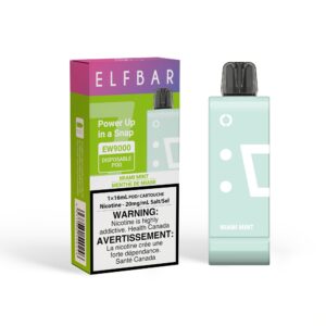 elfbar ew9000 miami mint hybrid pod official store canada 1.jpg