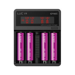 luc 4 bay charger.jpg